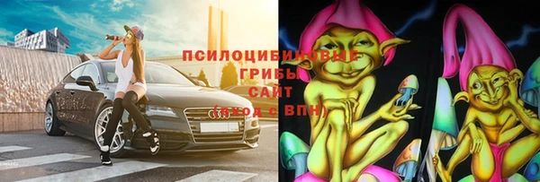 прущая мука Дмитриев